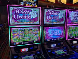 Buffalo King reel symbols Buffalo King slot game reel display with animal symbols